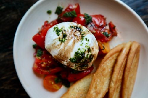 A plate featuring a creamy burrata cheese on a bed of fresh tomatoes, drizzled with pesto, alongside crispy breadsticks.