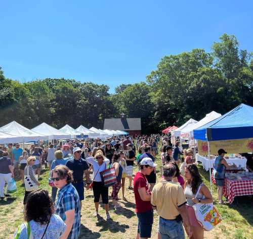 A bustling outdoor market with many people browsing tents under a clear blue sky and trees in the background.