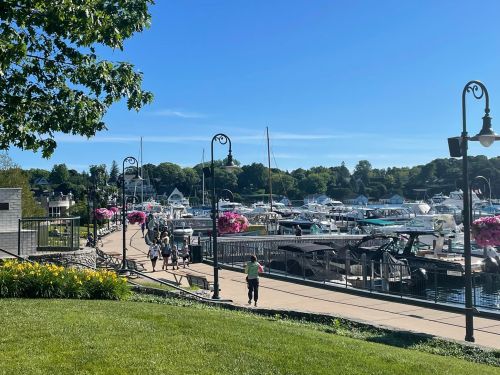 A sunny marina scene with boats docked, people walking along the waterfront, and vibrant flowers lining the path.