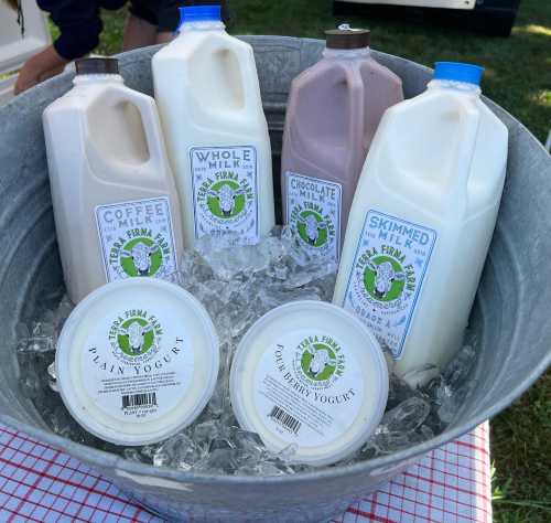 A metal bucket filled with ice, holding various milk jugs and yogurt containers, all labeled with a farm logo.