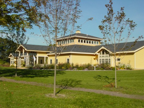 A yellow building with a modern design, surrounded by trees and a grassy area under a clear blue sky.