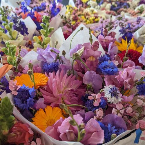A vibrant assortment of colorful flowers arranged in bouquets, featuring pinks, purples, yellows, and blues.