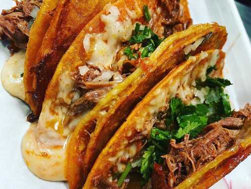 A close-up of crispy tacos filled with shredded meat, cheese, and topped with fresh cilantro and onions.