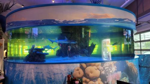 A large cylindrical aquarium with colorful coral and fish, illuminated by green and blue lights.