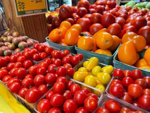 A vibrant display of various tomatoes in baskets, featuring red, yellow, and orange varieties at a market.