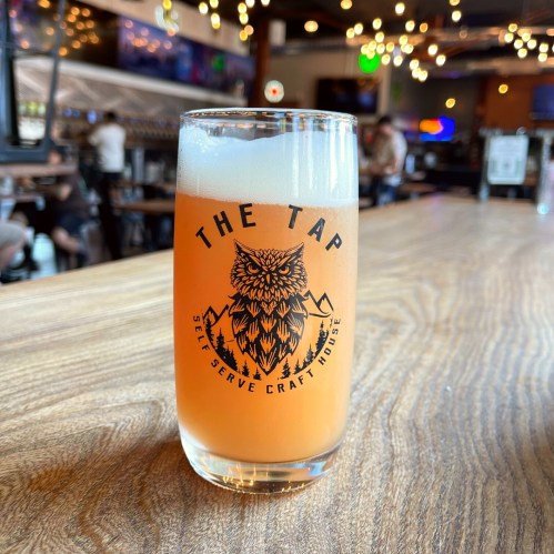 A glass of craft beer with an owl logo on the front, sitting on a wooden bar in a lively craft house setting.