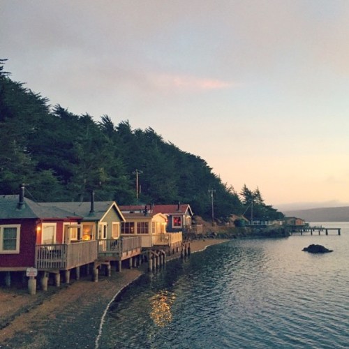 Colorful cottages line a calm waterfront, surrounded by trees under a soft, dusky sky.