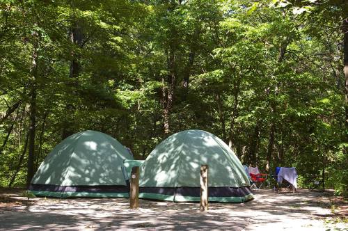 Two green tents set up in a wooded area, surrounded by trees, with camping chairs and clothes hanging nearby.
