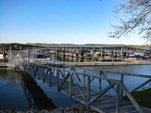 A wooden dock leads to a marina filled with boats under a clear blue sky.