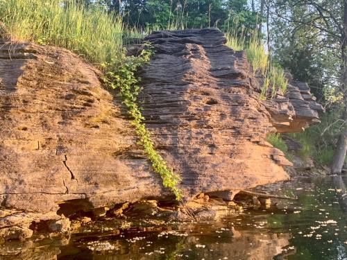 A rocky riverbank with lush green grass and a vine, reflecting in calm water under warm sunlight.