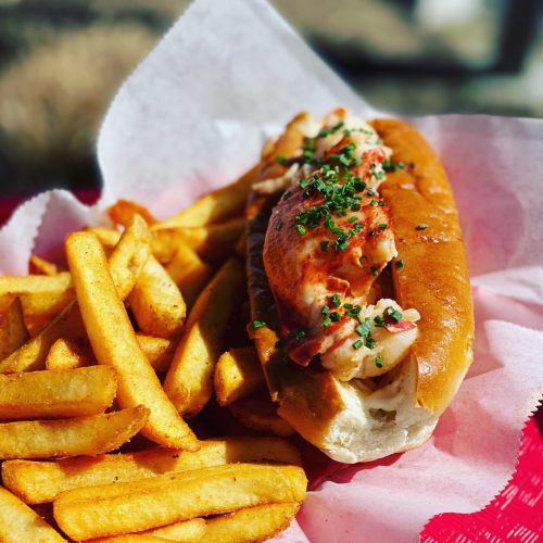 A lobster roll topped with chives, served with a side of golden French fries on a red and white checkered paper.
