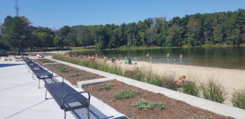 A sunny beach scene with people swimming and relaxing by a calm lake, surrounded by trees and benches.