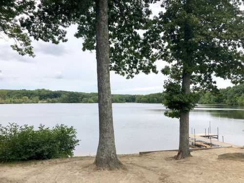 A serene lake view framed by two trees, with a sandy shore and a dock in the distance under a cloudy sky.