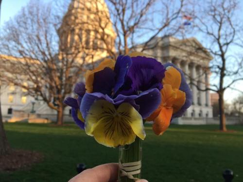 A hand holds a bouquet of colorful pansies in front of a historic building and bare trees.