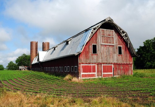 A red barn with a metal roof stands beside green fields under a cloudy sky, featuring two silos in the background.