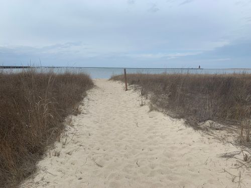 A sandy path leads through tall grass to a calm beach and distant lighthouse under a cloudy sky.