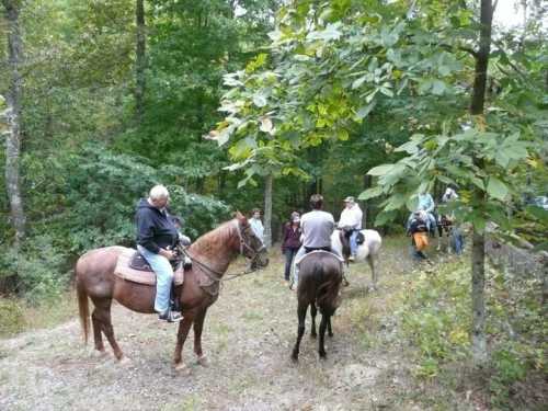 A group of people on horseback in a wooded area, with trees and greenery surrounding them.