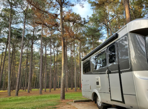 A silver RV parked among tall pine trees in a serene forest setting.