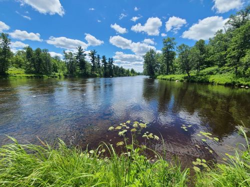 A serene river scene with lush green trees and a bright blue sky dotted with fluffy clouds.