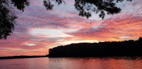 A serene lake at sunset, with vibrant pink and orange clouds reflecting on the water and silhouettes of trees in the foreground.
