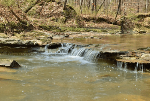 A serene stream flows over rocks, surrounded by trees and earthy tones in a peaceful forest setting.
