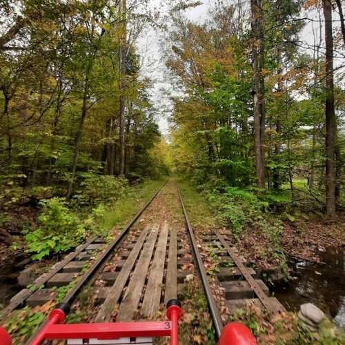 A view down a forested railway track, surrounded by trees in autumn colors, with wooden ties visible.