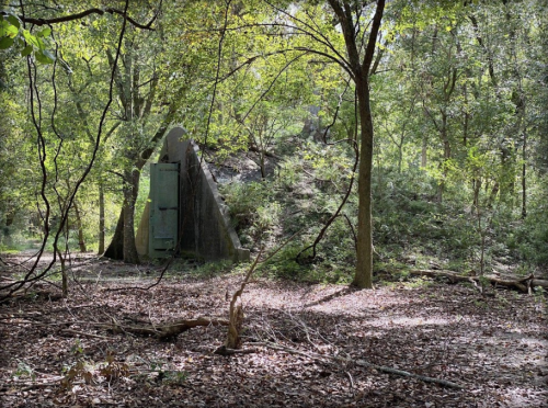 An old, green door set into a hillside, surrounded by lush trees and fallen leaves in a forested area.