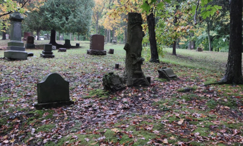 A serene graveyard with moss-covered ground, scattered tombstones, and autumn leaves on trees.