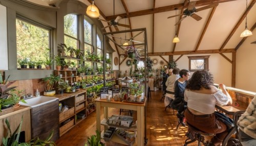 A cozy plant shop with wooden beams, filled with greenery, featuring customers seated at a counter.