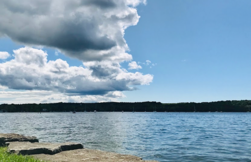 A serene lake scene with blue water, fluffy clouds, and a distant shoreline under a clear sky.