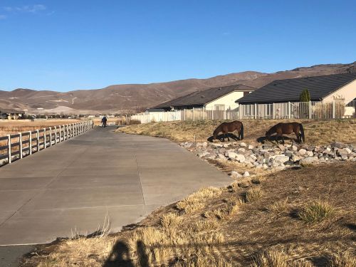 Two horses graze near a path beside houses, with mountains in the background under a clear blue sky.
