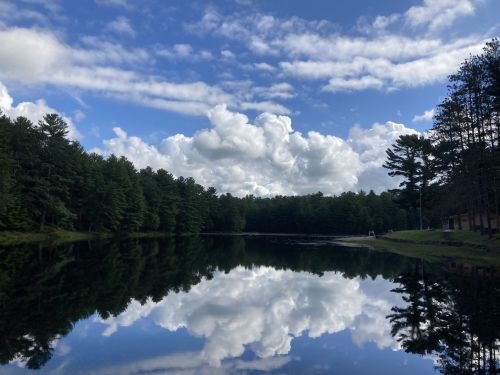 A serene lake reflecting fluffy clouds and trees under a blue sky, creating a peaceful natural scene.