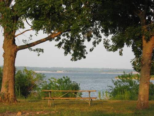 A serene view of a lake framed by two trees, with a wooden bench in the foreground and greenery surrounding the water.