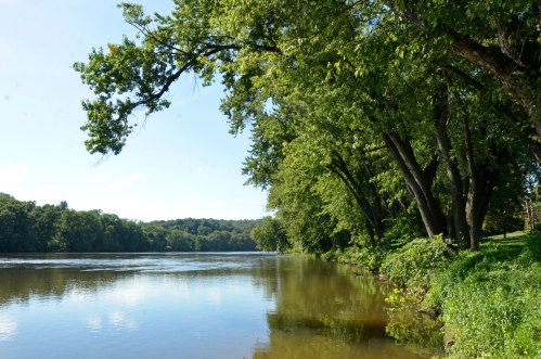 A serene river scene with lush green trees lining the banks under a clear blue sky.