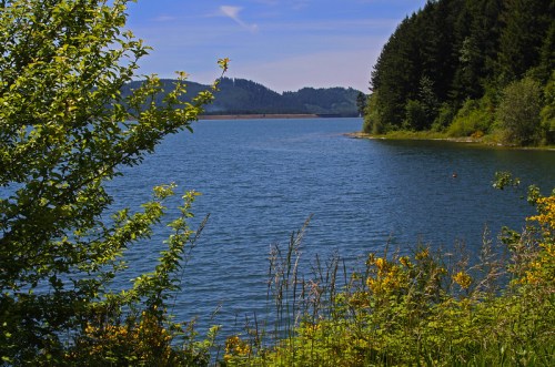 A serene lake surrounded by lush greenery and distant hills under a clear blue sky.