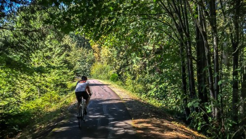 A cyclist rides along a tree-lined path, surrounded by lush greenery and dappled sunlight.
