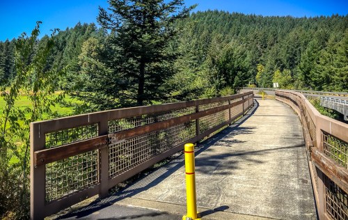 A paved pathway with wooden railings, surrounded by trees and greenery, leading through a scenic landscape.