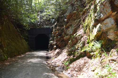 A dark tunnel entrance surrounded by rocky terrain and lush greenery, with a narrow path leading towards it.