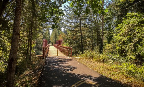 A red bridge spans a path through a lush green forest, surrounded by tall trees and sunlight filtering through the leaves.