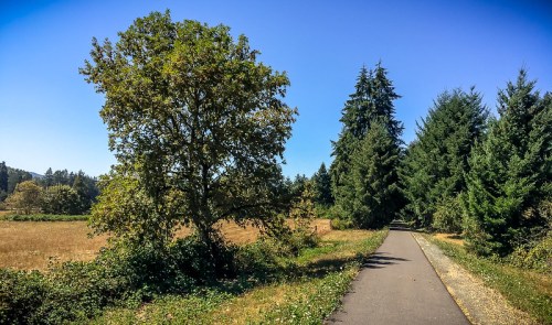 A scenic pathway lined with trees, leading through a sunny landscape of fields and greenery.
