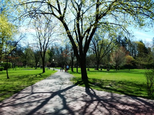 A sunny park scene with a winding path, trees casting shadows, and people walking in the distance.