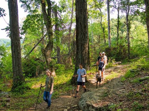 A group of four people hiking on a wooded trail, accompanied by a dog, surrounded by lush greenery.
