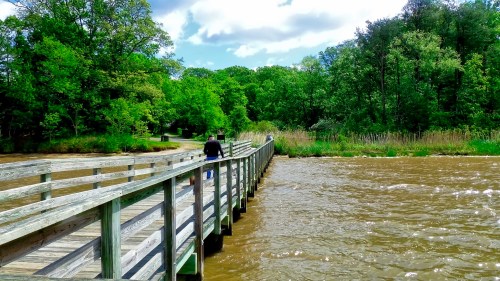 A wooden boardwalk extends over a river, surrounded by lush green trees and a cloudy sky.