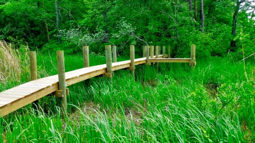 A wooden walkway extends through lush green grass and trees, leading into a serene natural area.