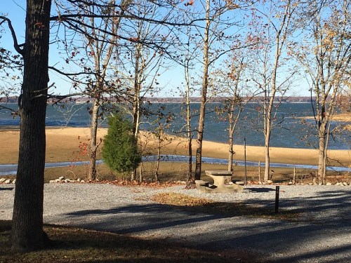 A serene lakeside view with trees, a sandy shore, and calm water under a clear blue sky.
