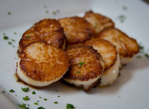 A plate of perfectly seared scallops garnished with fresh herbs.