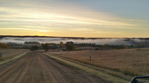 A dirt road leads to a misty valley at sunrise, with soft clouds hovering over trees and hills in the background.