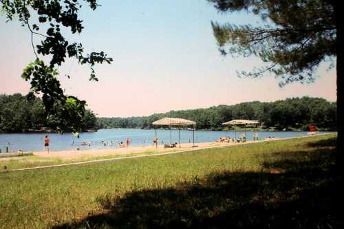 A serene lake scene with people swimming and relaxing on the beach, surrounded by trees and clear blue skies.