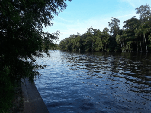 A calm river surrounded by trees under a clear blue sky, with gentle ripples on the water's surface.