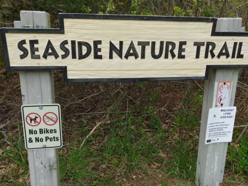 Sign for Seaside Nature Trail with rules against bikes and pets, surrounded by greenery.